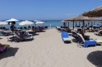 Plaża Alykes (Alikes) - wyspa Zakynthos zdjęcie 13