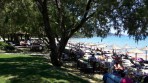 Plaża Porto Zoro - wyspa Zakynthos zdjęcie 24